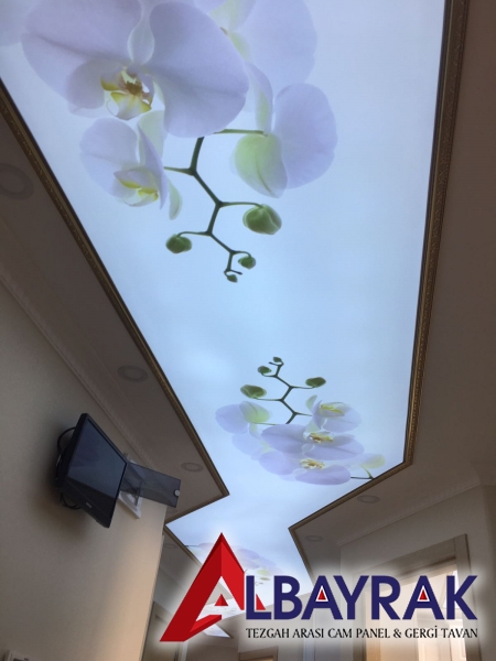 Şeffaf Çiçek Desenli Gergi Tavan Beylikdüzü