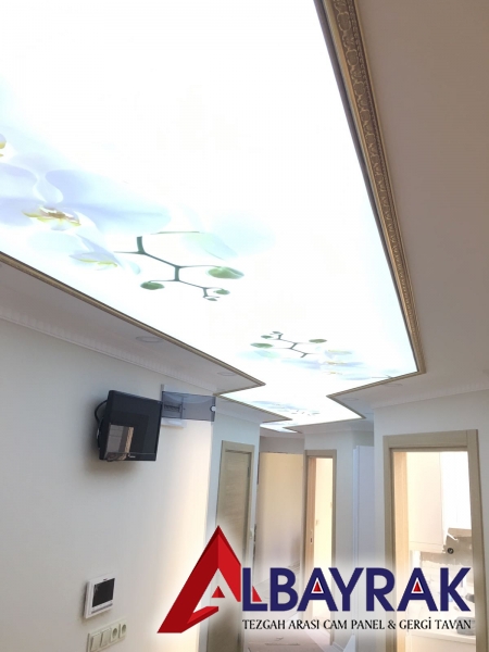 Şeffaf Çiçek Desenli Gergi Tavan Beylikdüzü