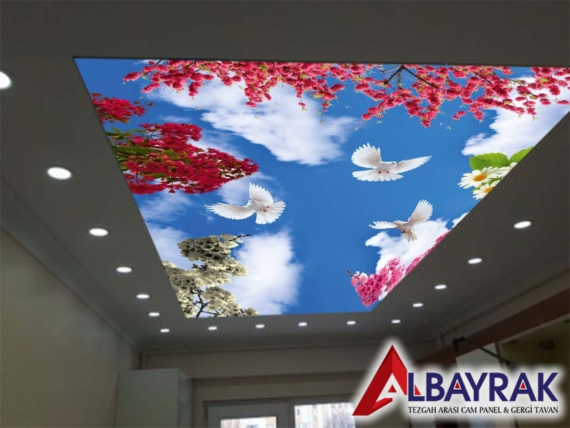 Isı Yalıtımlı Gergi Tavan Modelleri