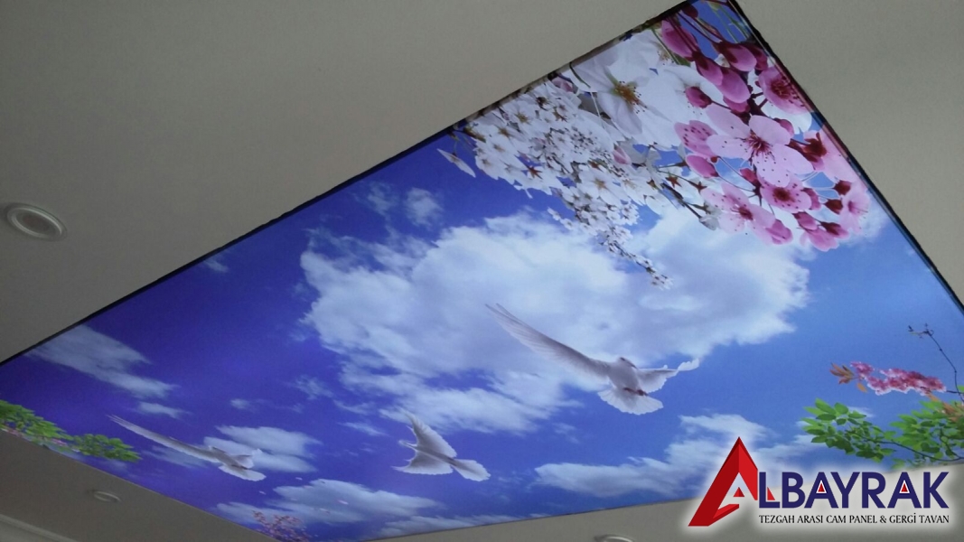 Adalar Gergi Tavan Montajı