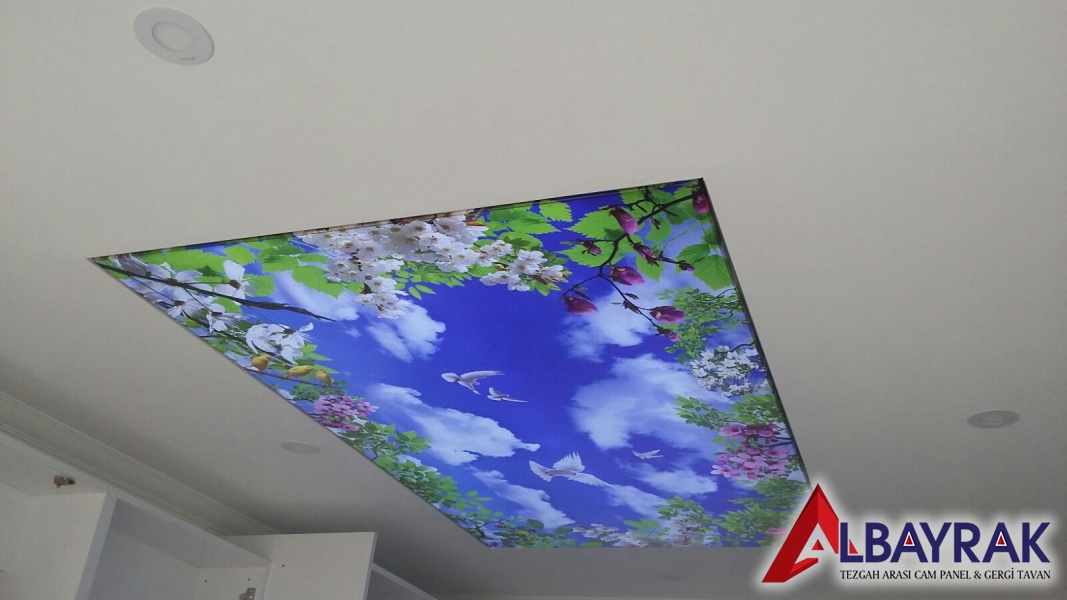 Adalar Gergi Tavan Montajı