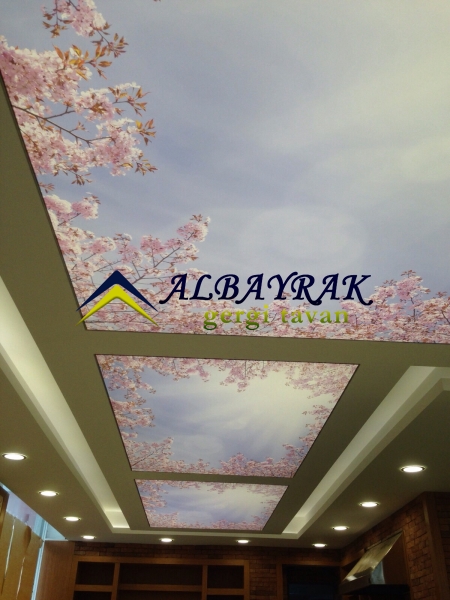 Çanakkale gergi tavan malzemesi üretimi