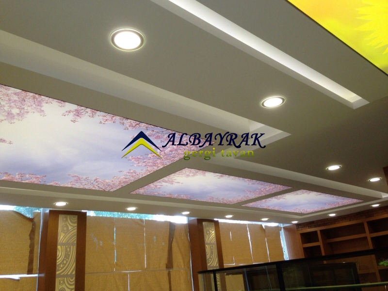 Çanakkale gergi tavan malzemesi üretimi