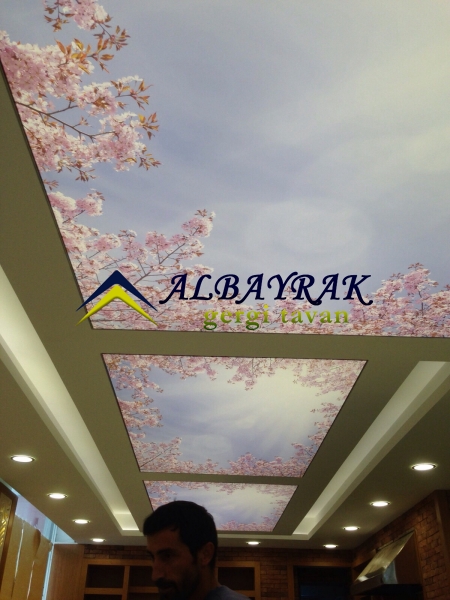 Çanakkale gergi tavan malzemesi üretimi