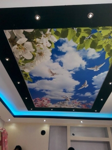 Barisol gergi tavan  modelleri