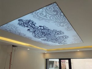 Barisol gergi tavan  modelleri