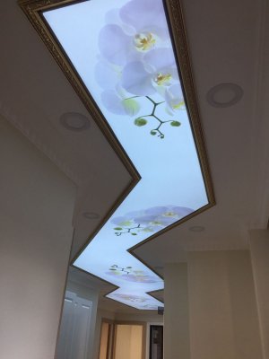 Barisol gergi tavan  modelleri