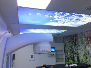 Barisol gergi tavan  modelleri