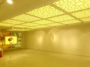 Barisol gergi tavan  modelleri