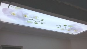 Barisol gergi tavan  modelleri