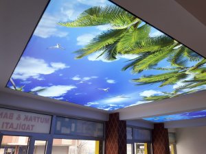 Barisol gergi tavan  modelleri