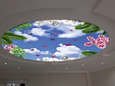 Barisol gergi tavan  modelleri