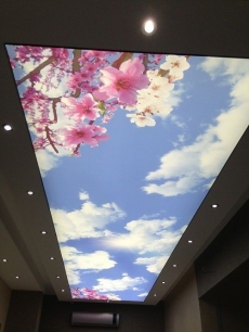 Barisol gergi tavan  modelleri