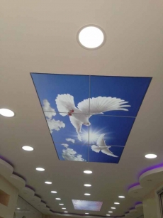 Barisol gergi tavan  modelleri