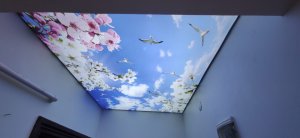 Bahçelievlerde Gergi tavan montajı