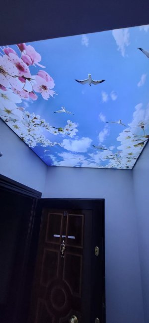 Gökyüzü Gergi Tavan modelleri