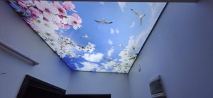 Gökyüzü Gergi Tavan modelleri