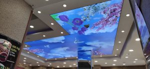 Gökyüzü Gergi Tavan modelleri