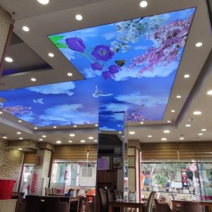 Gökyüzü Gergi Tavan modelleri