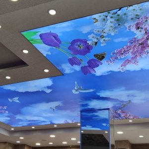 Gökyüzü Gergi Tavan modelleri