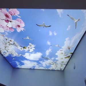 Gökyüzü Gergi Tavan modelleri