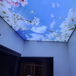 Gökyüzü Gergi Tavan modelleri