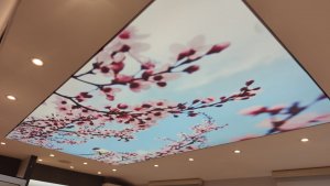 Barisol gergi tavan  modelleri