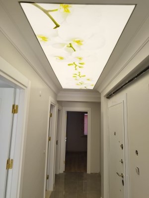 Barisol gergi tavan  modelleri