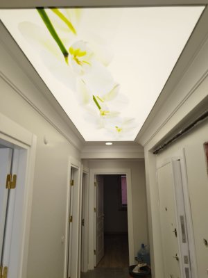 Barisol gergi tavan  modelleri