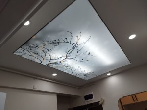 Barisol gergi tavan  modelleri