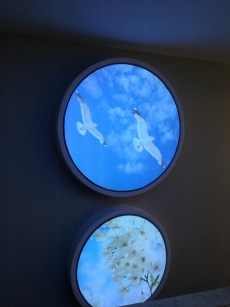 Barisol gergi tavan  modelleri