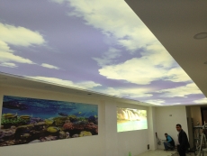 Lake gergi tavan modelleri