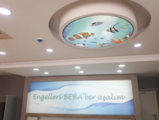 Barisol gergi tavan  modelleri