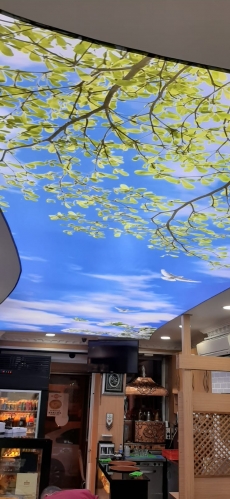 Gökyüzü Gergi Tavan modelleri