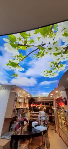 Gökyüzü Gergi Tavan modelleri