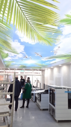 Gökyüzü Gergi Tavan modelleri