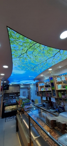 Gökyüzü Gergi Tavan modelleri