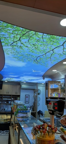 Barisol gergi tavan  modelleri