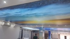 Barisol gergi tavan  modelleri