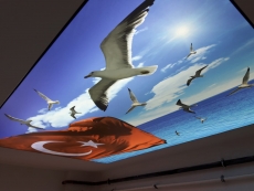 Barisol gergi tavan  modelleri