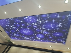 Barisol gergi tavan  modelleri