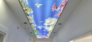 Barisol gergi tavan  modelleri