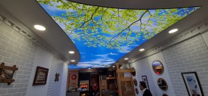 Pastane Cafe Gergi Tavan