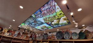 Barisol gergi tavan  modelleri