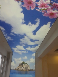 Barisol gergi tavan  modelleri