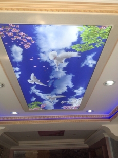 Barisol gergi tavan  modelleri