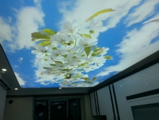 Barisol gergi tavan  modelleri