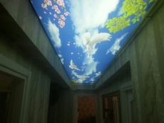 Barisol gergi tavan  modelleri