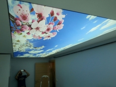 Barisol gergi tavan  modelleri