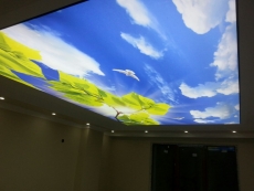 Barisol gergi tavan  modelleri